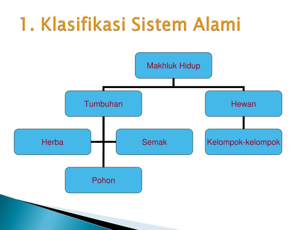 PPT KEANEKARAGAMAN MAKHLUK HIDUP PowerPoint Presentation 