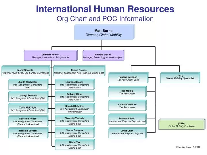 Global Org Chart