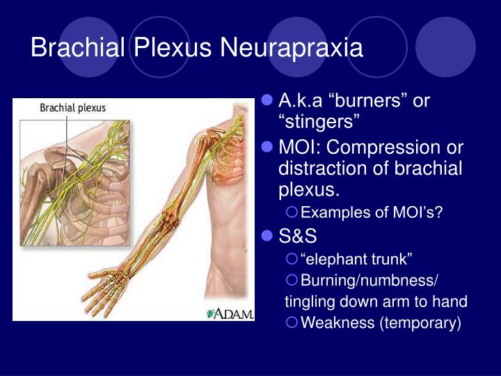 PPT CERVICAL SPINE INJURIES PowerPoint Presentation ID