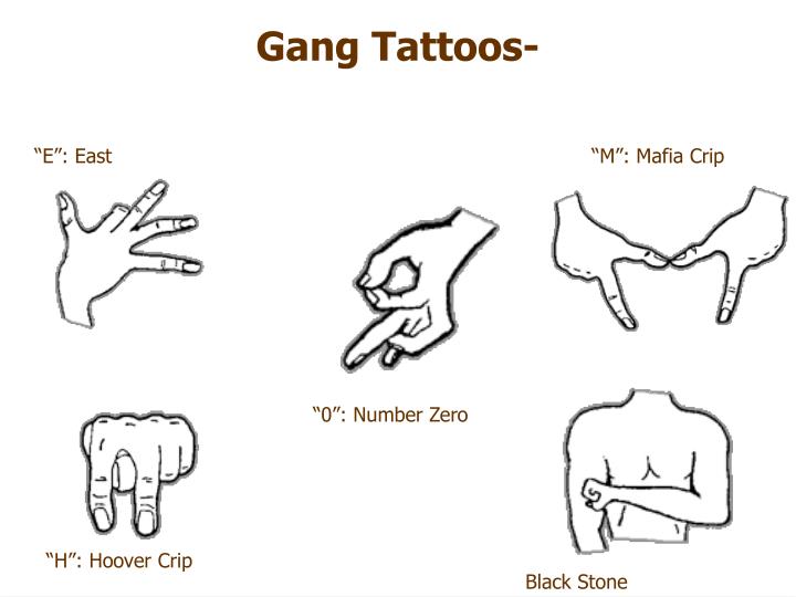 PPT STREET LAW March 20, 2006 PowerPoint Presentation ID2909