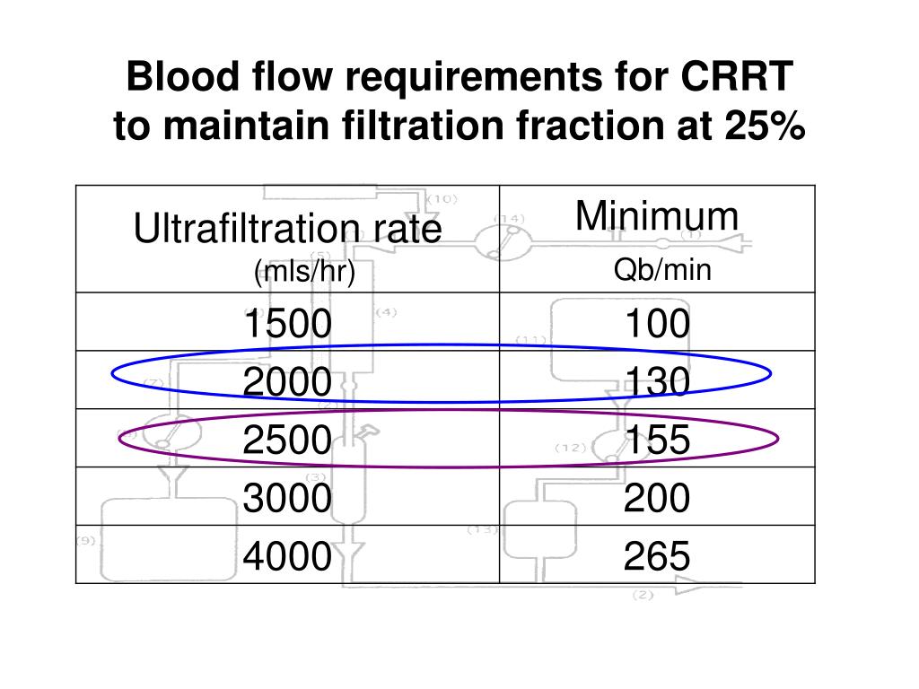 PPT Regional Citrate Anticoagulation (RCA) in CRRT PowerPoint
