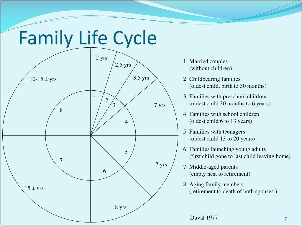 Stages Of The Family Life Cycle