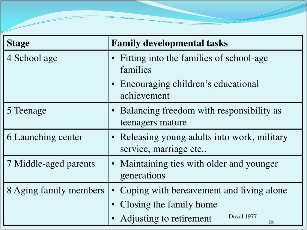 Family Life Stages