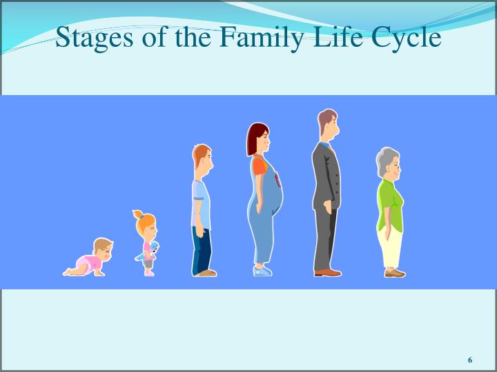 Stages Of The Family Life Cycle