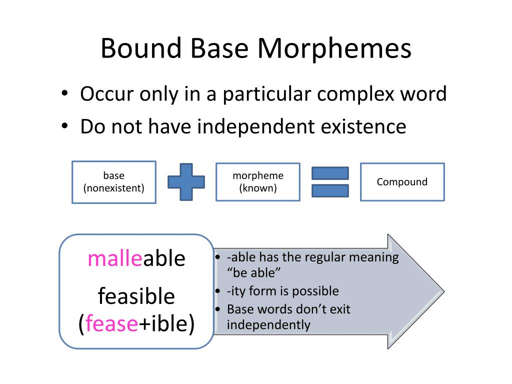 PPT Morphology CS 626 449 PowerPoint Presentation Free Download 