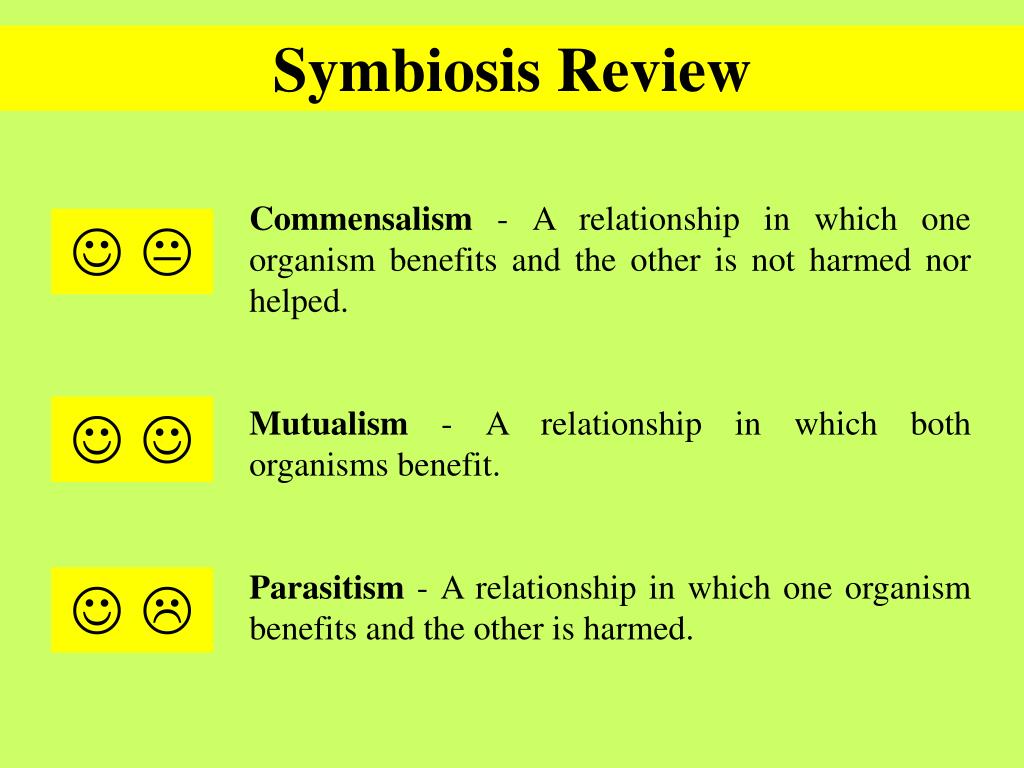 symbiotic relationship chart - Tifom With Symbiotic Relationships Worksheet Good Buddies