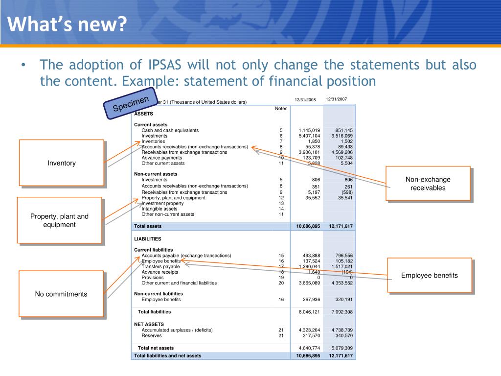 ipsas 1 presentation of financial statements pdf