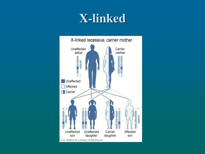 are dominant traits more common