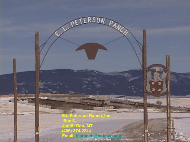 PPT E.L Peterson Ranch, Inc Box 8, Judith Gap, MT (406) 3742244