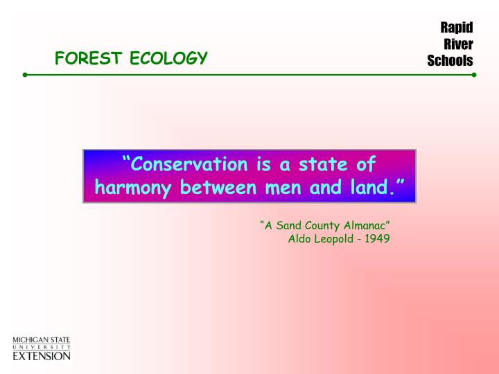 PPT - FOREST ECOLOGY PowerPoint Presentation, free download - ID:294584