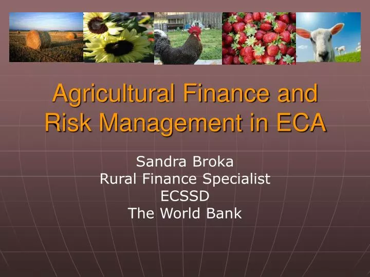 agricultural finance and risk management in eca n.