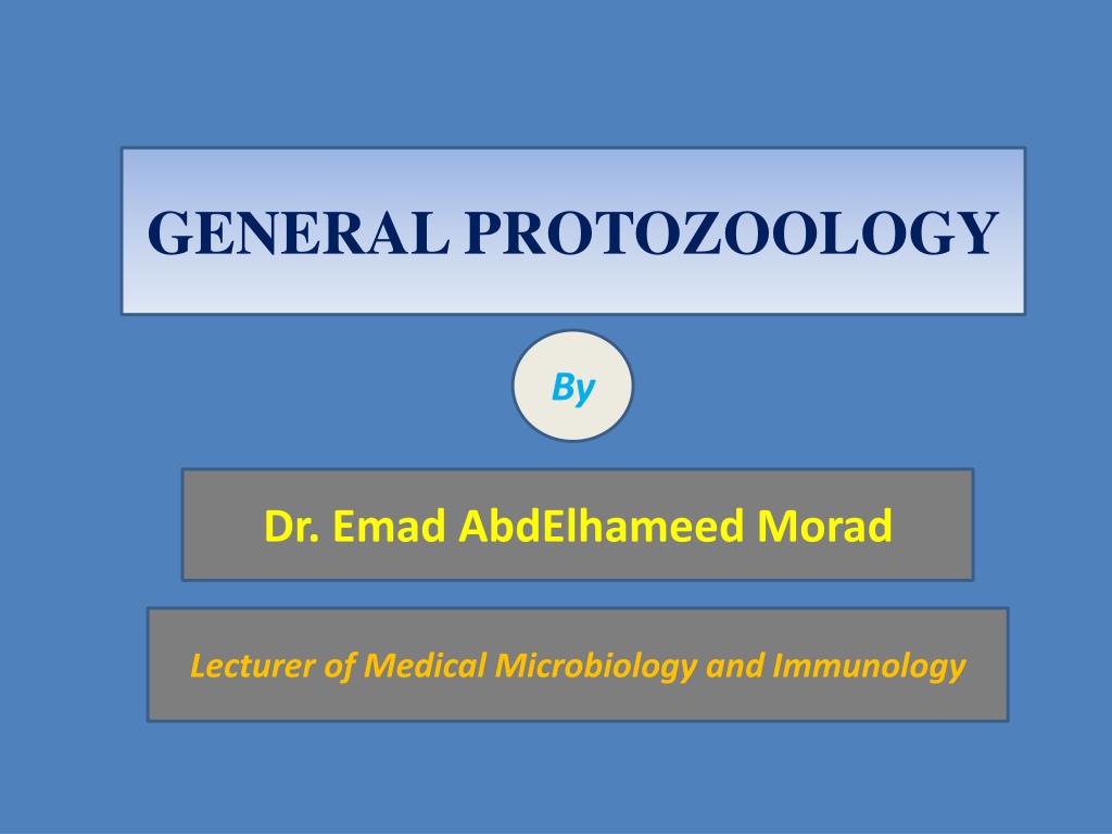 Ppt General Protozoology Powerpoint Presentation Id294876 - 
