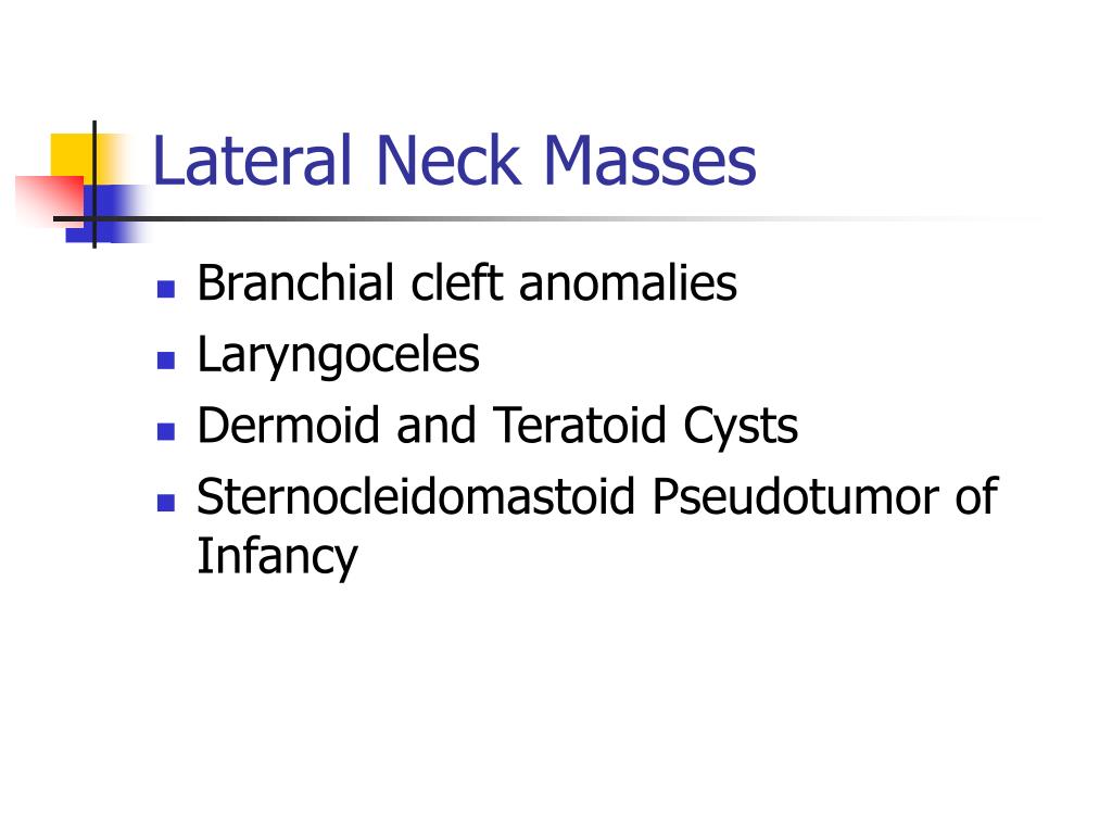 PPT Embryology of the Neck & Neck Masses PowerPoint Presentation ID