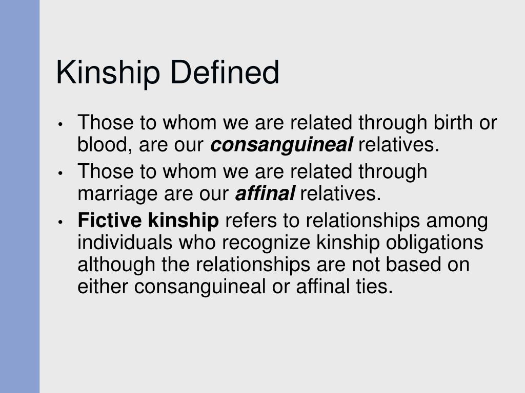 kinship definition essay