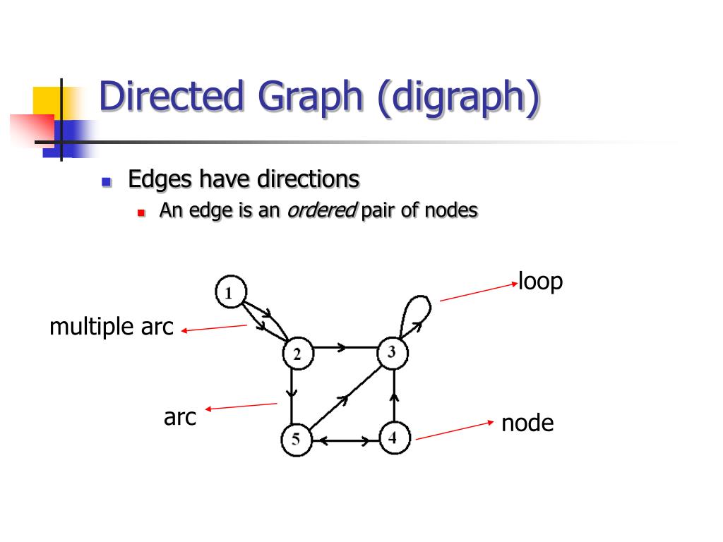 ppt-introduction-to-network-theory-basic-concepts-powerpoint