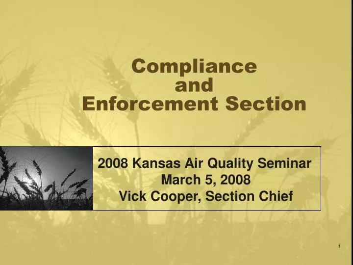 compliance and enforcement section n.