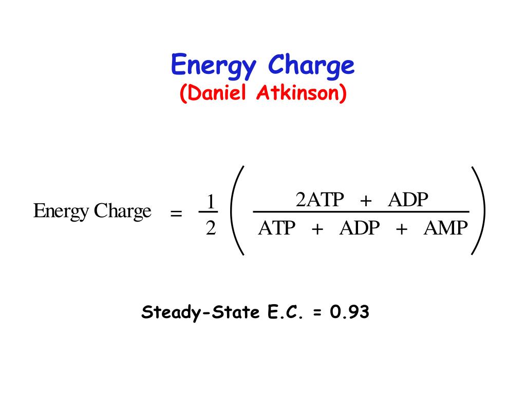 PPT Introduction to Metabolism PowerPoint Presentation free