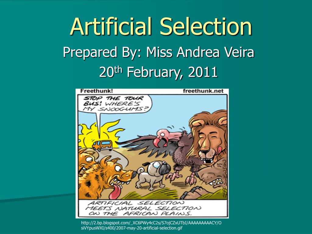 PPT Artificial Selection PowerPoint Presentation, free download ID