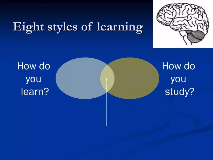 eight styles of learning n.