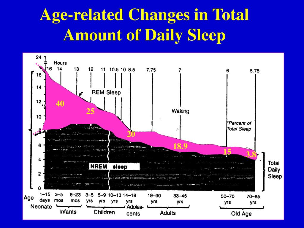 PPT Neurobiology Of Sleep PowerPoint Presentation Free Download ID ppt-neurobiology-of-sleep-powerpoint-presentation-free-download-id