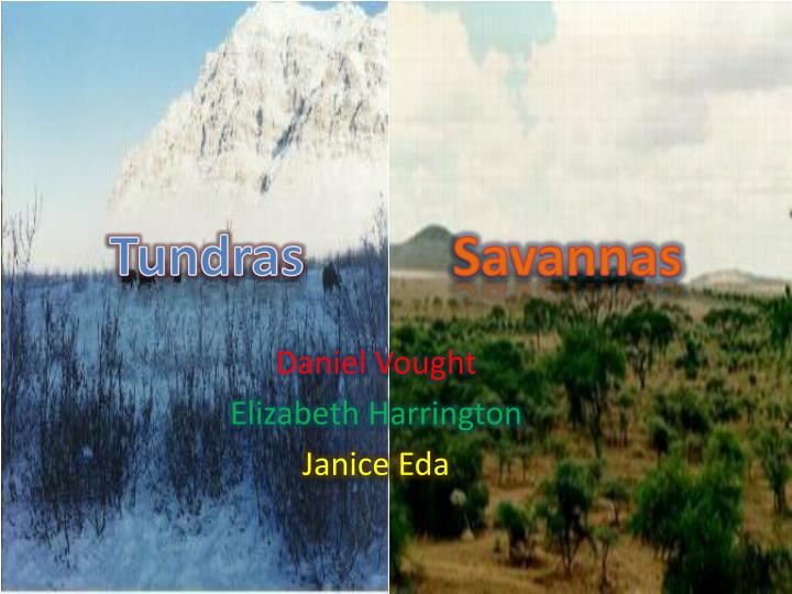 tundras savannas n.