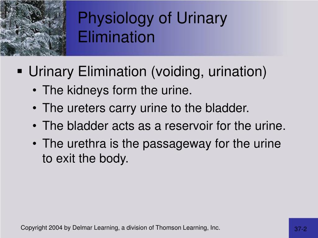 case studies chapter 37 urinary elimination