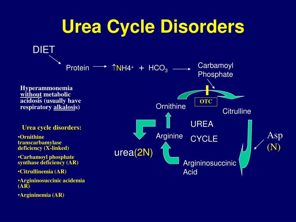 Cycle use перевод. Urea Cycle Disorders. Ornithine Cycle. Цикл мочевины. Цикл мочевины с ферментами.