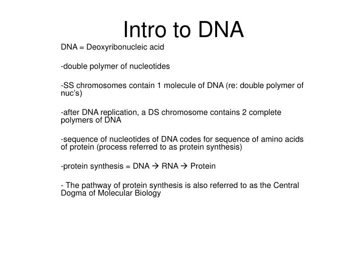 intro to dna n.
