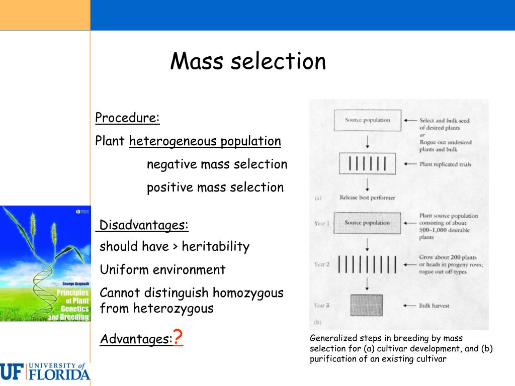 PPT - Classical breeding methods June 10 th 2008 PowerPoint Presentation -  ID:299652
