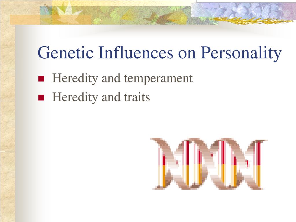 research on genetic determinants of personality tell us that