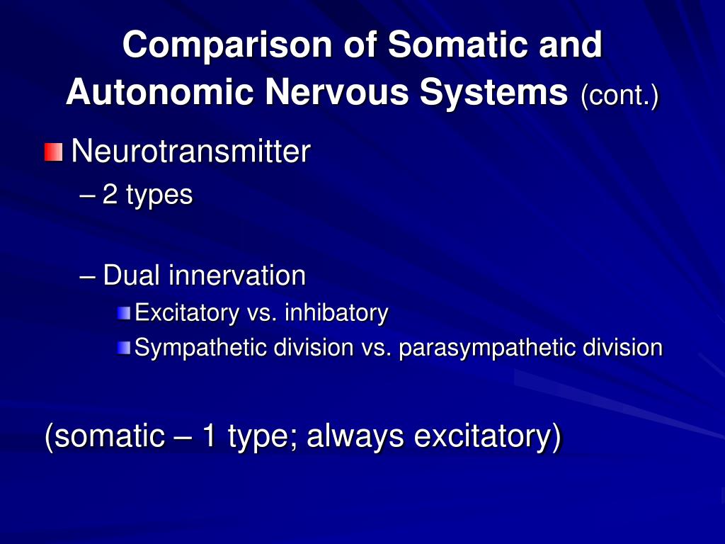 Ppt Chapter 11 Autonomic Nervous System Powerpoint