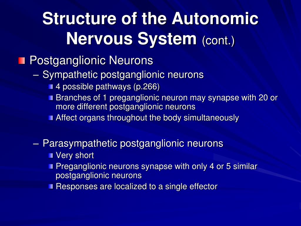 Ppt Chapter 11 Autonomic Nervous System Powerpoint
