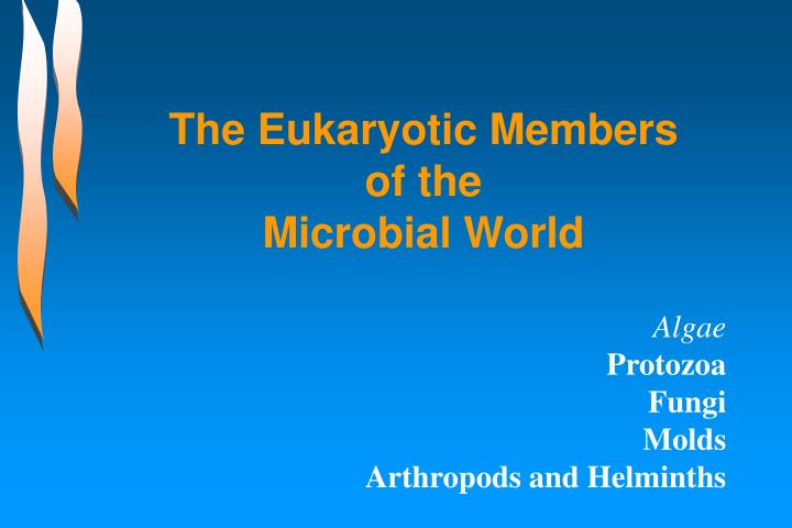the eukaryotic members of the microbial world n.