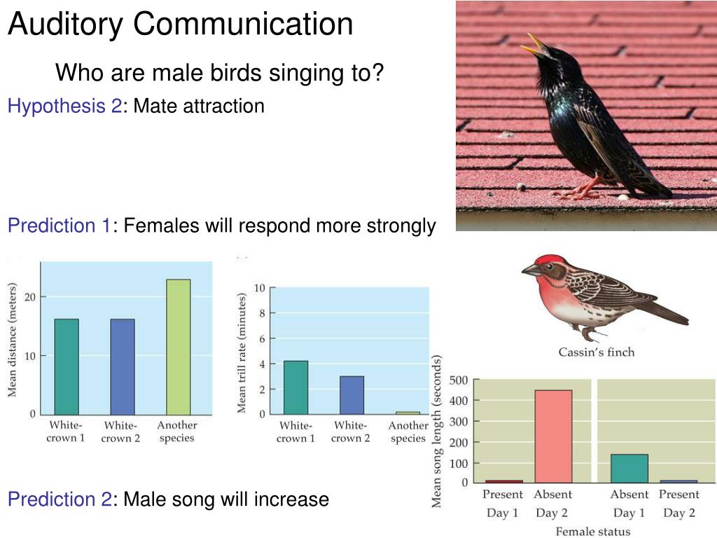 Animal communication. Examples of animal communication.