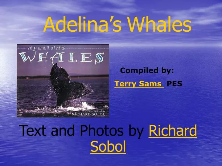 adelina s whales n.