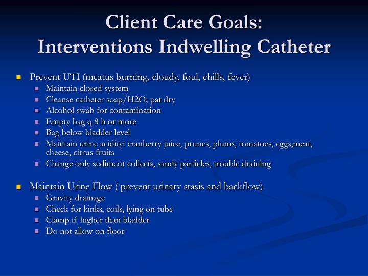 PPT Urinary Elimination PowerPoint Presentation ID301947
