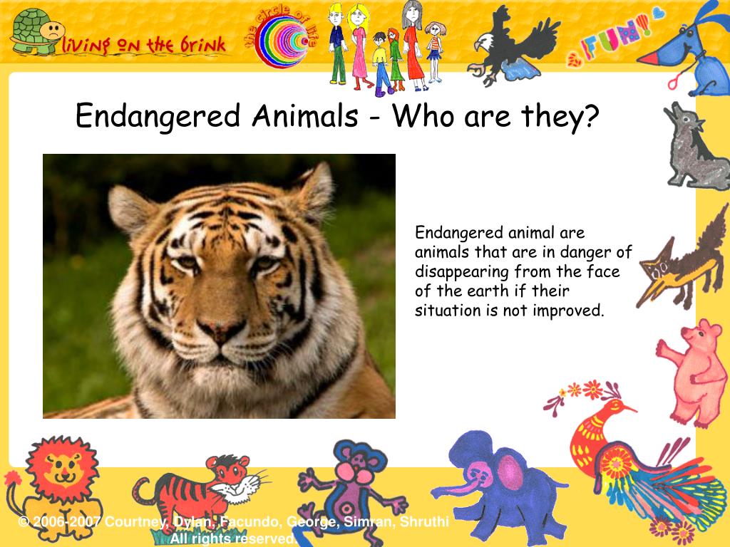 PPT - Endangered Animals - Who are they? PowerPoint Presentation, free  download - ID:302293