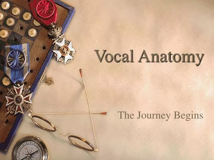 vocal anatomy n.