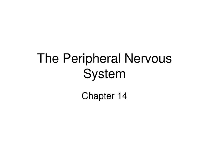 the peripheral nervous system n.