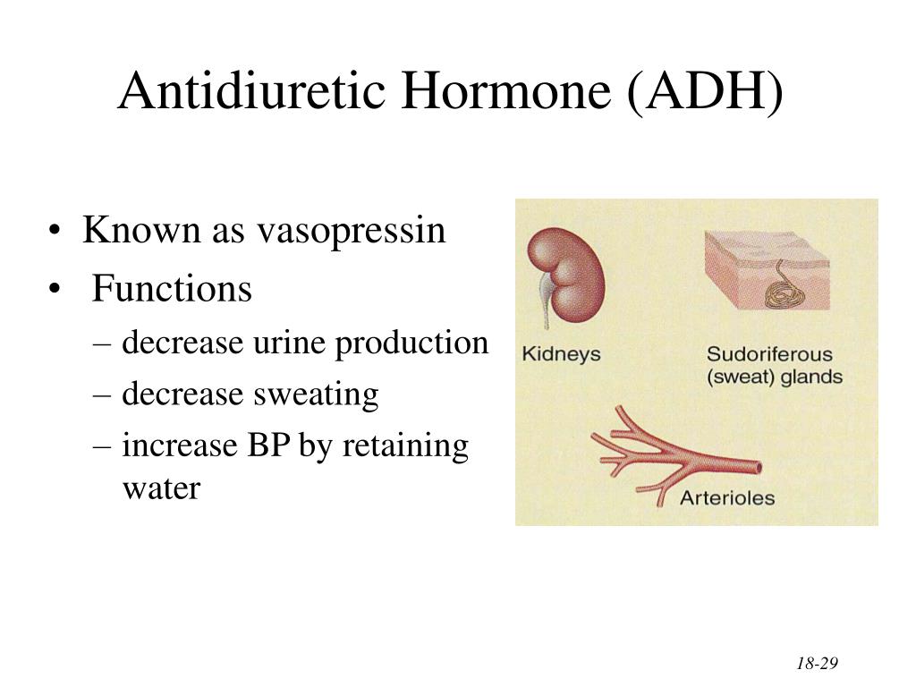 PPT - The Endocrine System General Functions of Hormones PowerPoint