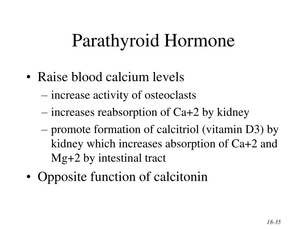 PPT - The Endocrine System General Functions of Hormones PowerPoint