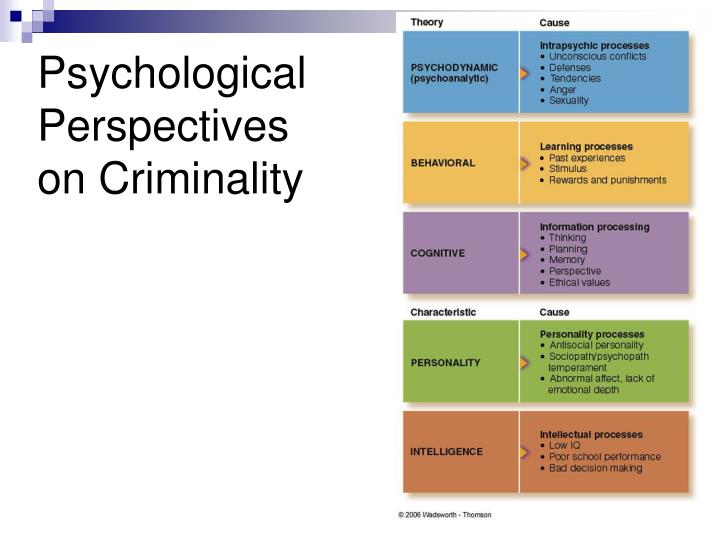 psychodynamic perspective essay The psychodynamic perspective one of the key beliefs of the psychodynamic approach is that our adult personality and behaviour are determined by our childhood experiences sigmund freud chiefly initiated this approach although freud continually revised many of his theories, three of them remained constant. psychodynamic perspective essay The psychodynamic perspective one of the key beliefs of the psychodynamic approach is that our adult personality and behaviour are determined by our childhood experiences sigmund freud chiefly initiated this approach although freud continually revised many of his theories, three of them remained constant.