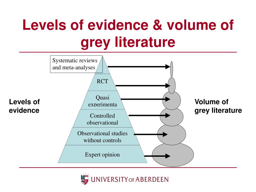 what evidence level is a literature review