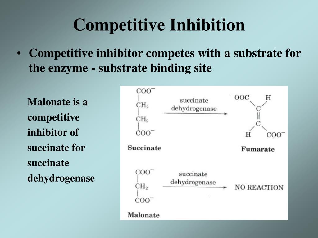 competitive inhibitor of succinate dehydrogenase