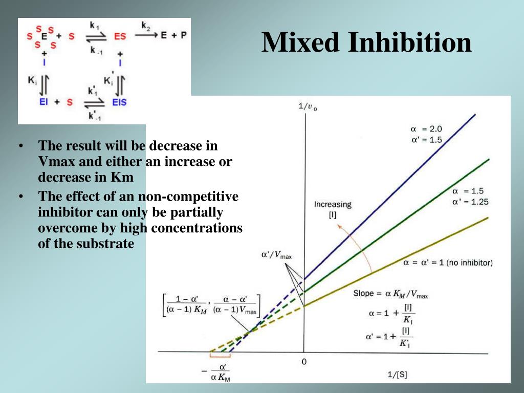 PPT Enzyme Kinetic PowerPoint Presentation Free Download ID 305372 ppt-enzyme-kinetic-powerpoint-presentation-free-download-id-305372