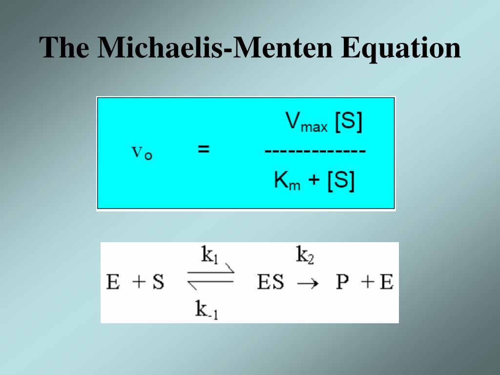 PPT Enzyme Kinetic PowerPoint Presentation ID 305372 ppt-enzyme-kinetic-powerpoint-presentation-id-305372