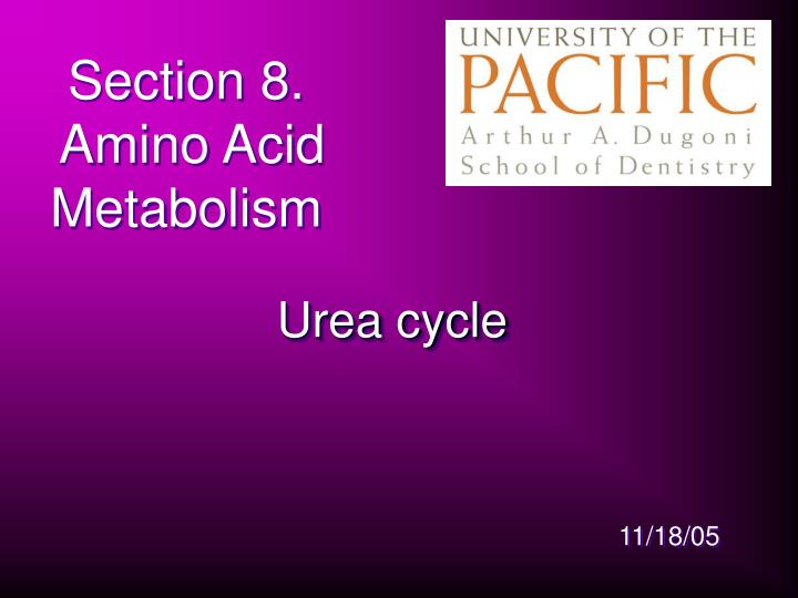 section 8 amino acid metabolism n.