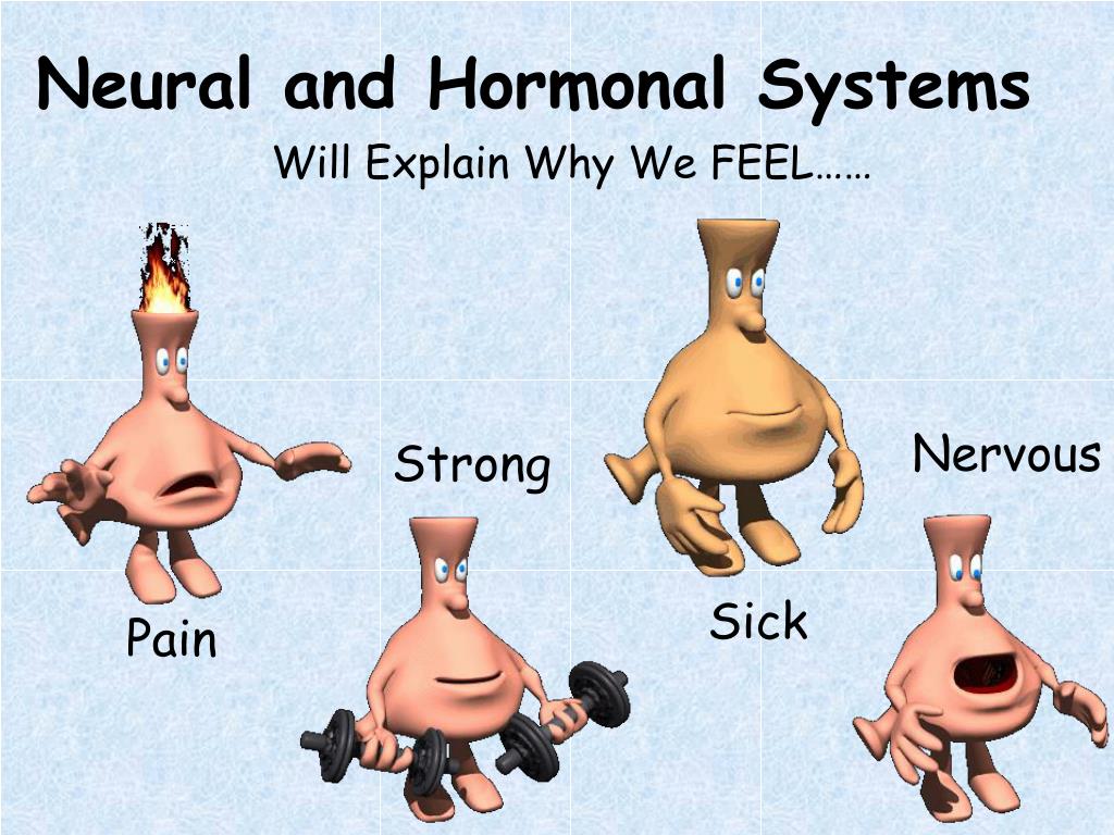 PPT - Neural and Hormonal Systems PowerPoint Presentation ...