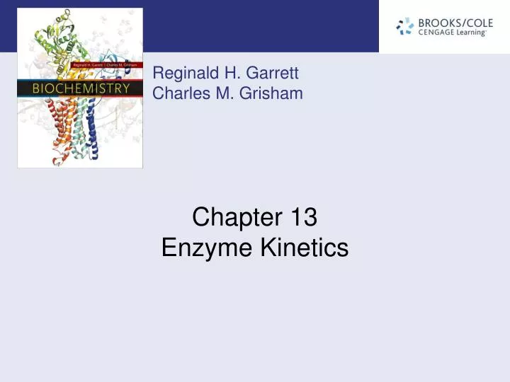 chapter 13 enzyme kinetics n.
