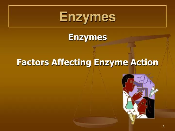 enzymes n.